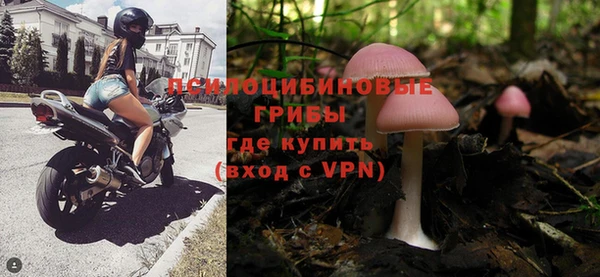 ГАЛЛЮЦИНОГЕННЫЕ ГРИБЫ Алзамай