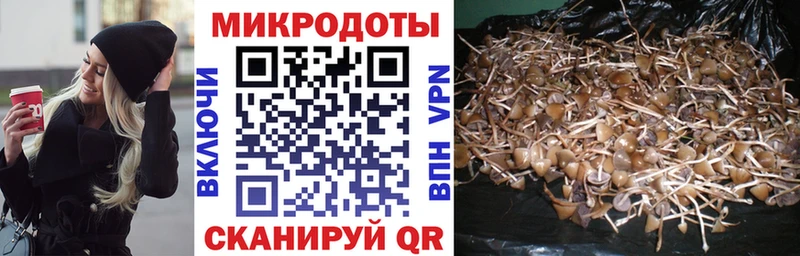 Псилоцибиновые грибы Magic Shrooms  Новокубанск 